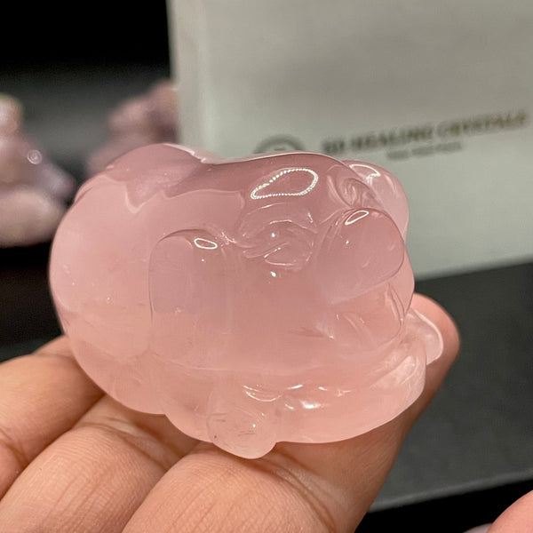 Rose Quartz Pig 🐷