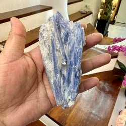 Raw Blue Kyanite [Communication & Self-Expression] Mystery Pick