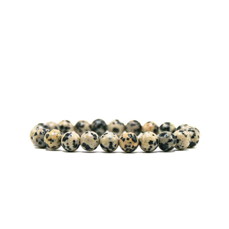 Dalmatian Jasper Bracelet (Regular Quality)