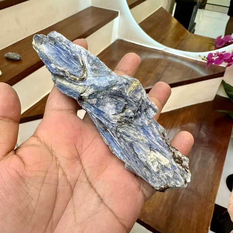 Raw Blue Kyanite [Communication & Self-Expression] Mystery Pick