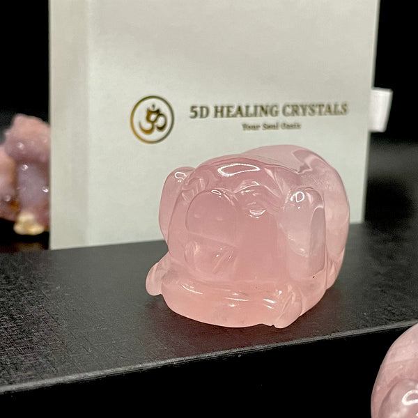 Rose Quartz Pig 🐷