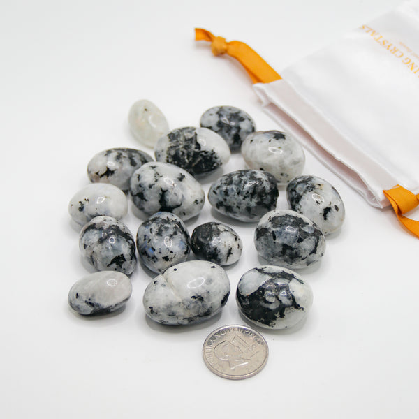 Moonstone Tumbled Stones