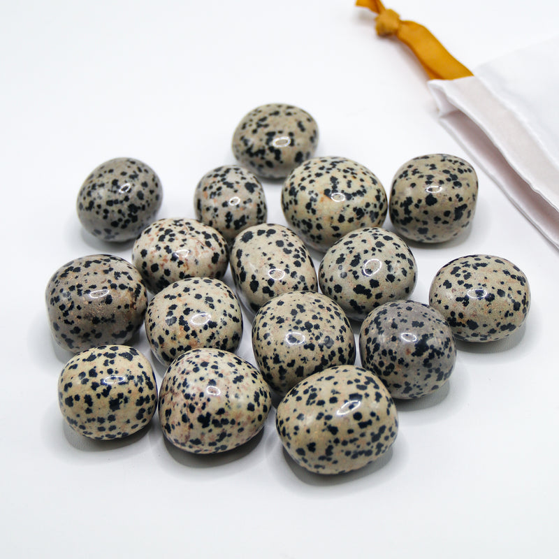 Dalmatian Jasper Tumbled Stones