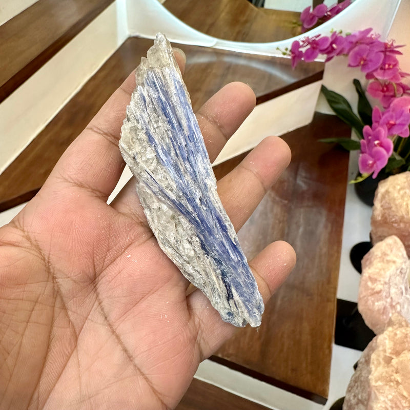 Raw Blue Kyanite [Communication & Self-Expression] Mystery Pick