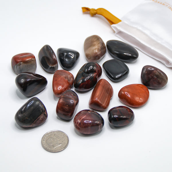 Petrified Wood Tumbled Stones