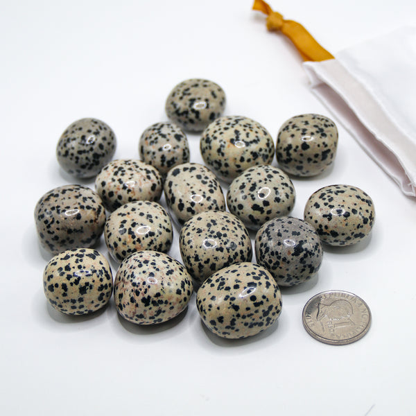 Dalmatian Jasper Tumbled Stones