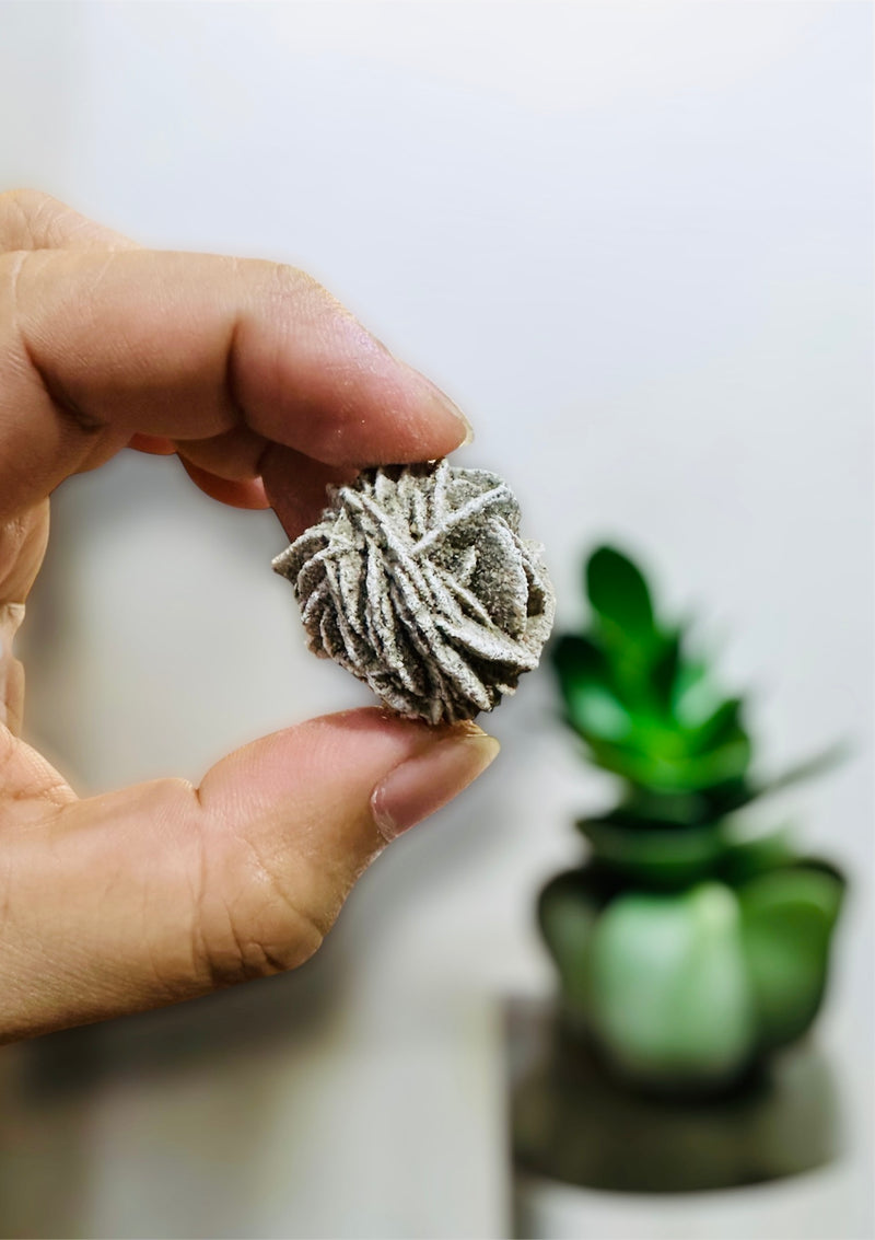 Sacred Desert Rose Selenite – Healing & Protective Crystal 1pc