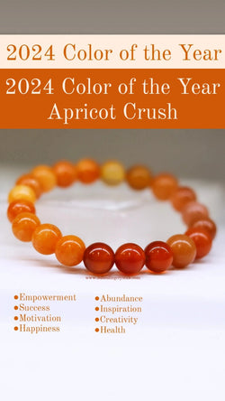 2024 Color of the Year Apricot Crush