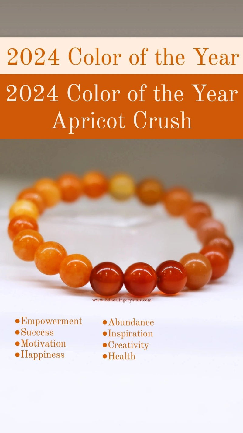 2024 Color of the Year Apricot Crush