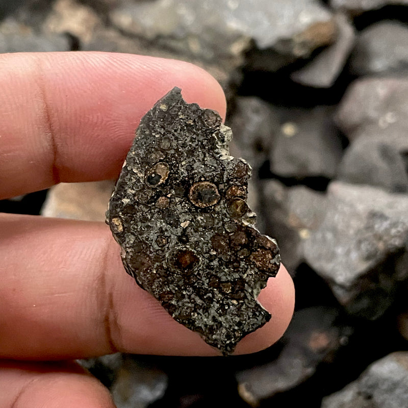 Chondrite Meteorite Erg Chech (Rare)