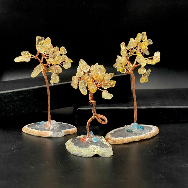 Mini Citrine Monet Tree