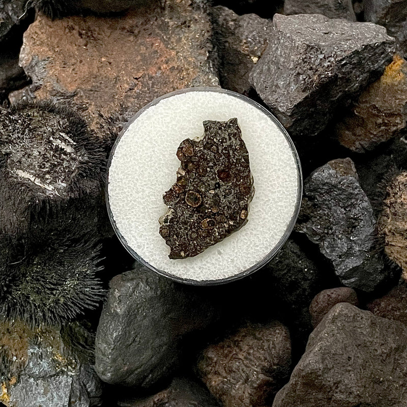 Chondrite Meteorite Erg Chech (Rare)