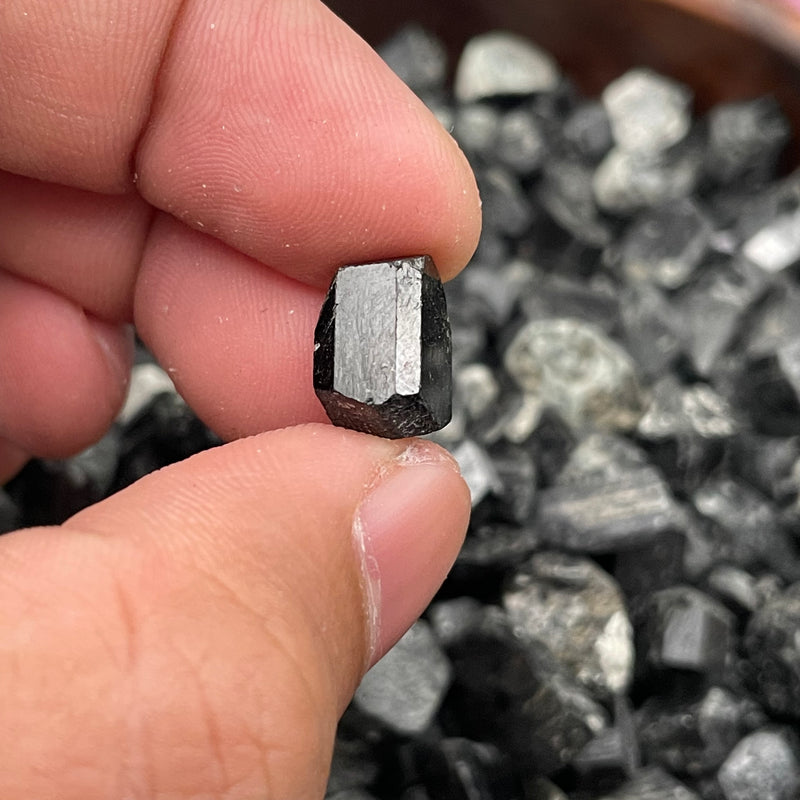 Black tourmaline raw 5D Healing Crystals