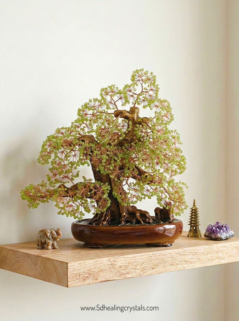 Peridot Money Tree