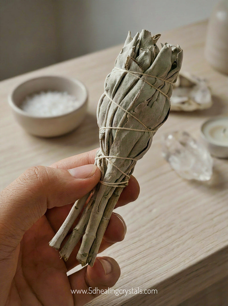 White Sage Torch Smudge Stick