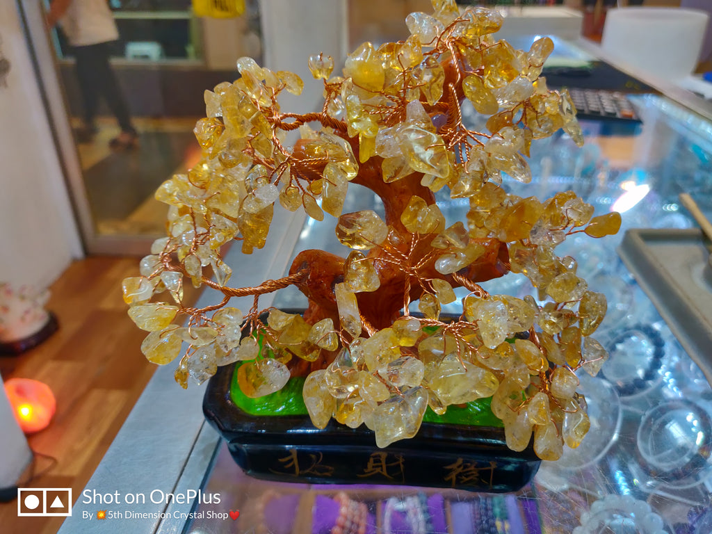 Citrine Money Tree – 5D Healing Crystals