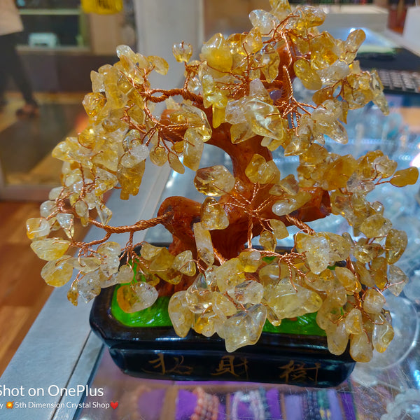 Citrine Money Tree – 5D Healing Crystals