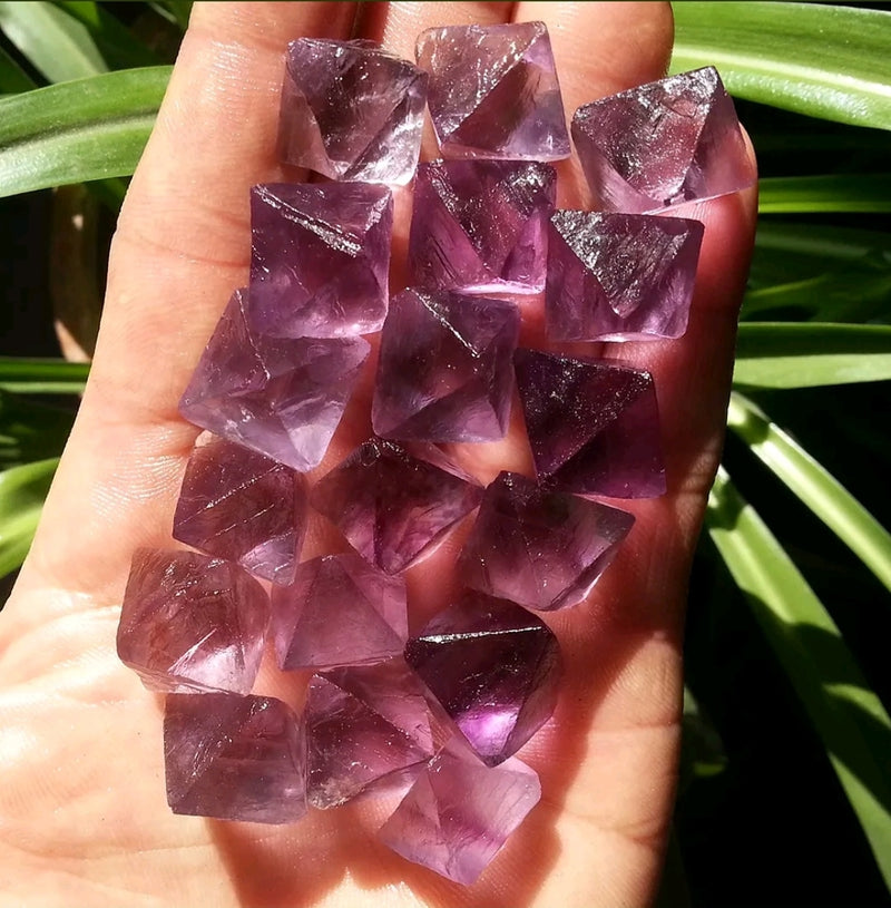 Octahedral purple Fluorite