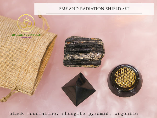 EMF and Radiation Shield