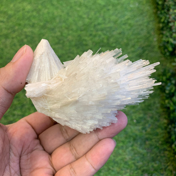 Raw scolecite