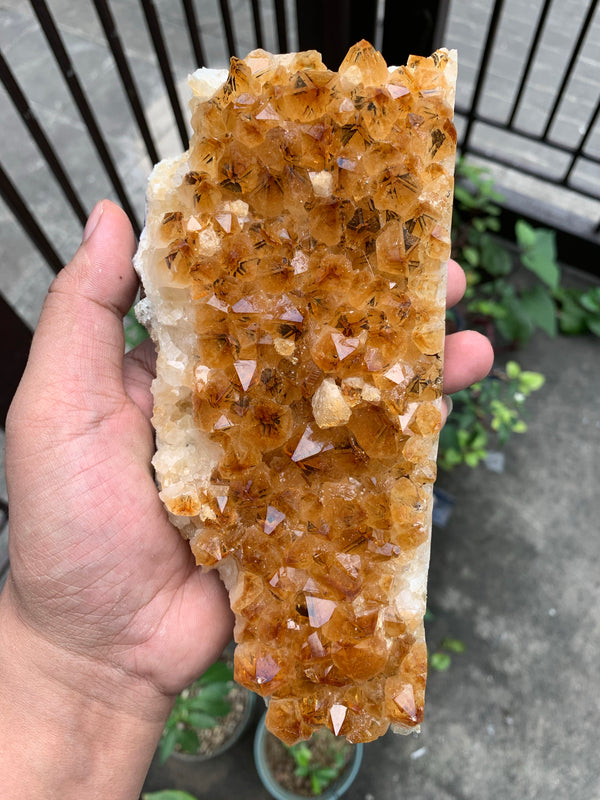 Citrine geode hcc01