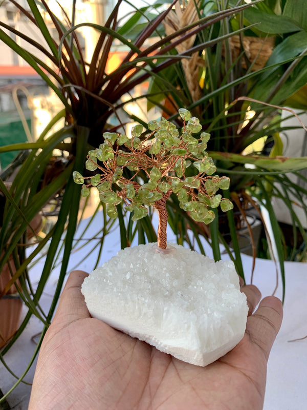 Peridot money tree with clear Quartz base