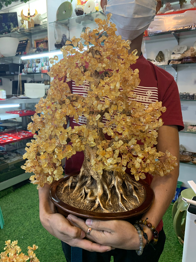 real citrine money tree Citrine money tree H-22” W-18 – 5D Healing Crystals