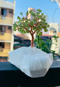 Peridot money tree with clear Quartz base